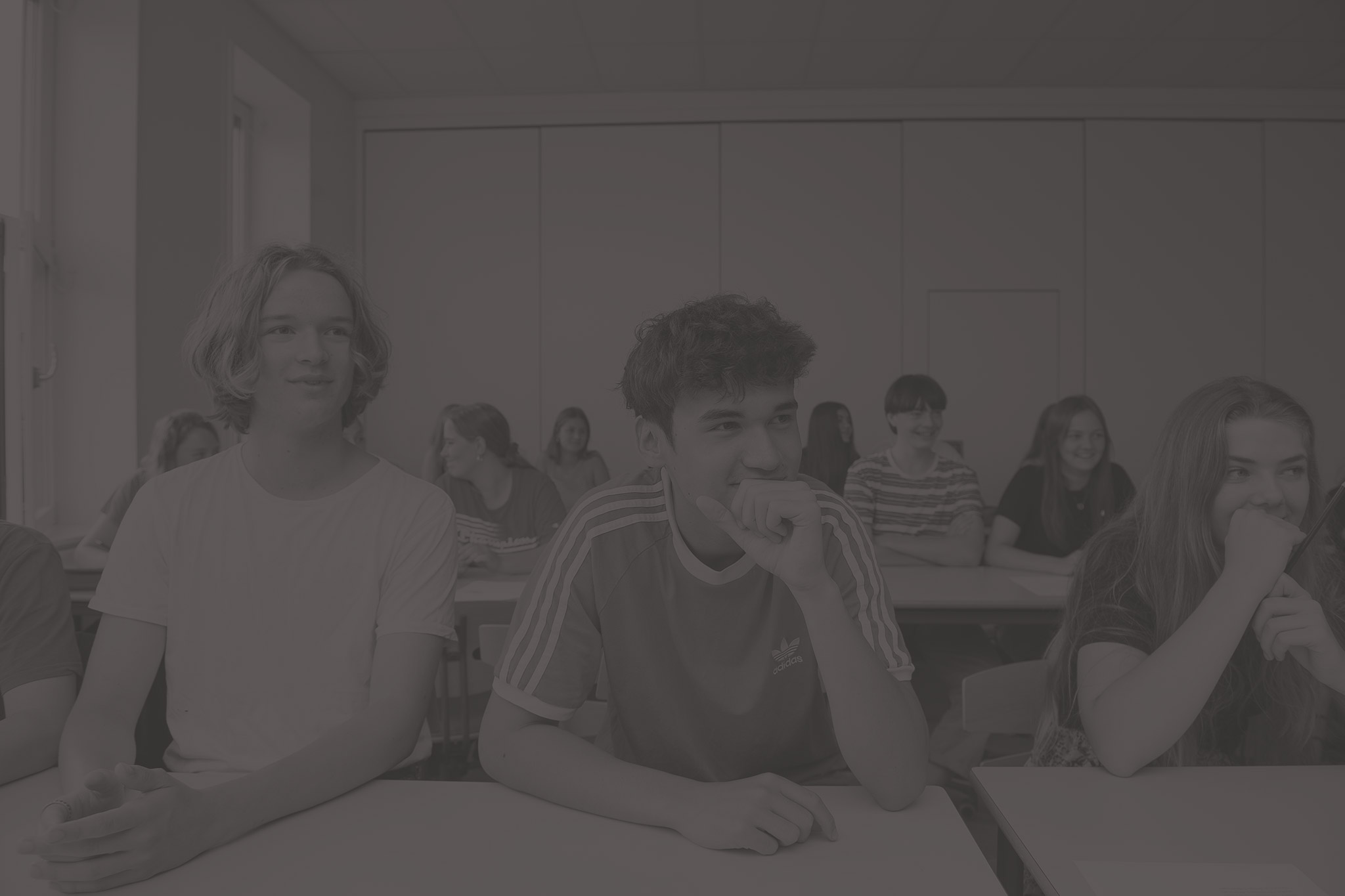 Horsens Statsgymnasium Og Hf 1356