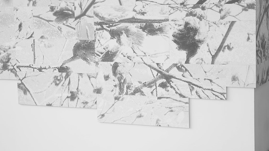 Horsens Statsgymnasium Og Hf 1413