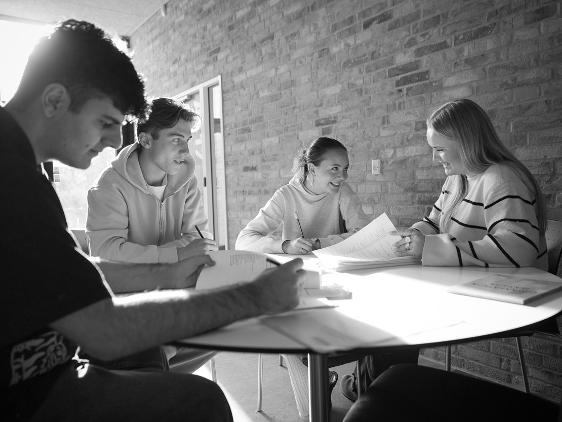 Horsens Statsgymnasium Og Hf 7084