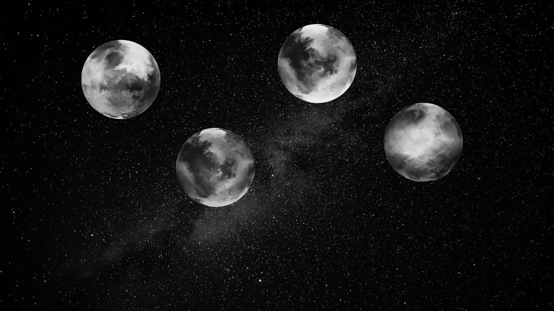 Planater Test 200819 Udentekst