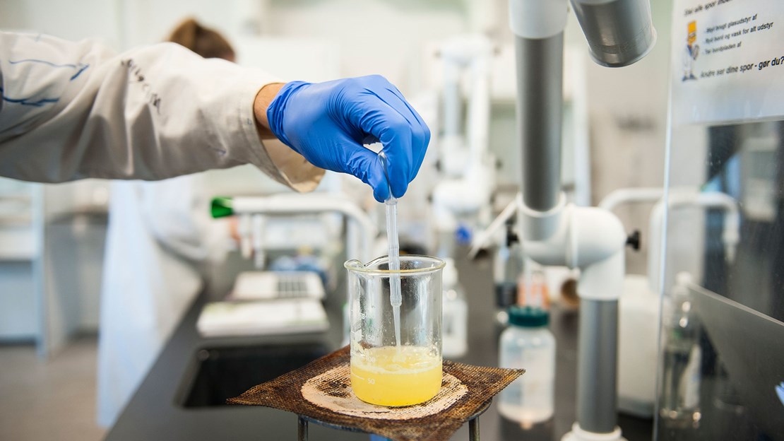 Horsens Statsgymnasium Og Hf 1253