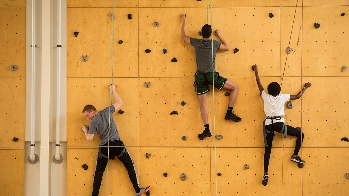 Horsens Statsgymnasium Og Hf 7001