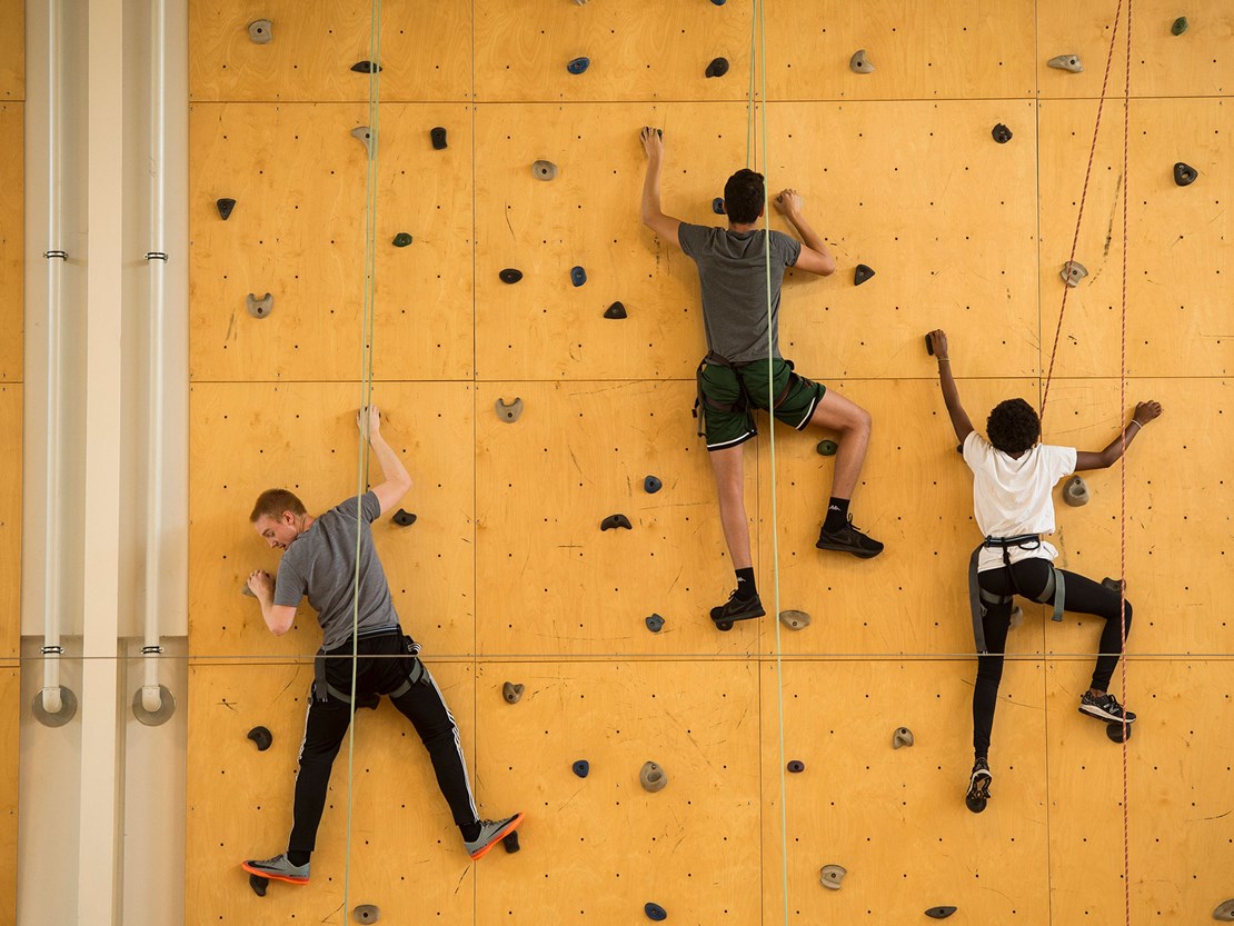 Horsens Statsgymnasium Og Hf 7001