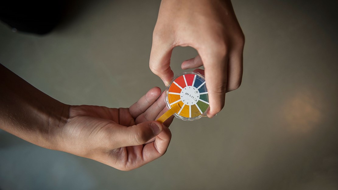 Horsens Statsgymnasium Og Hf 1373