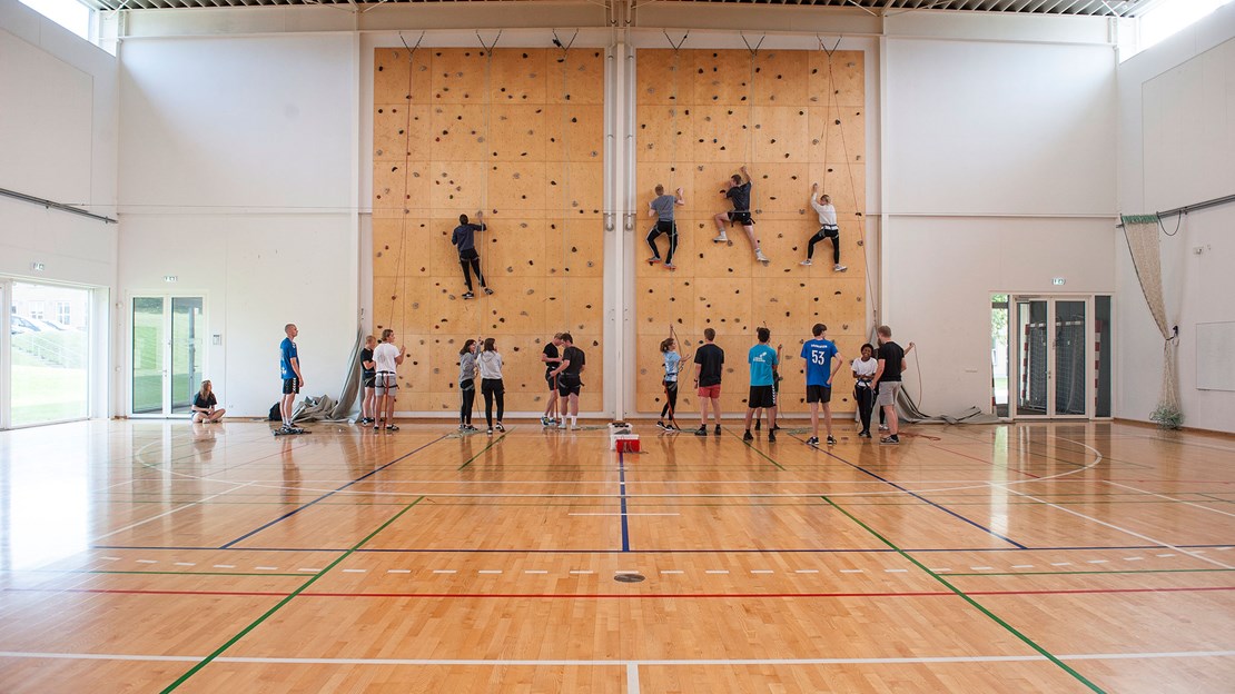 Horsens Statsgymnasium Og Hf 1442