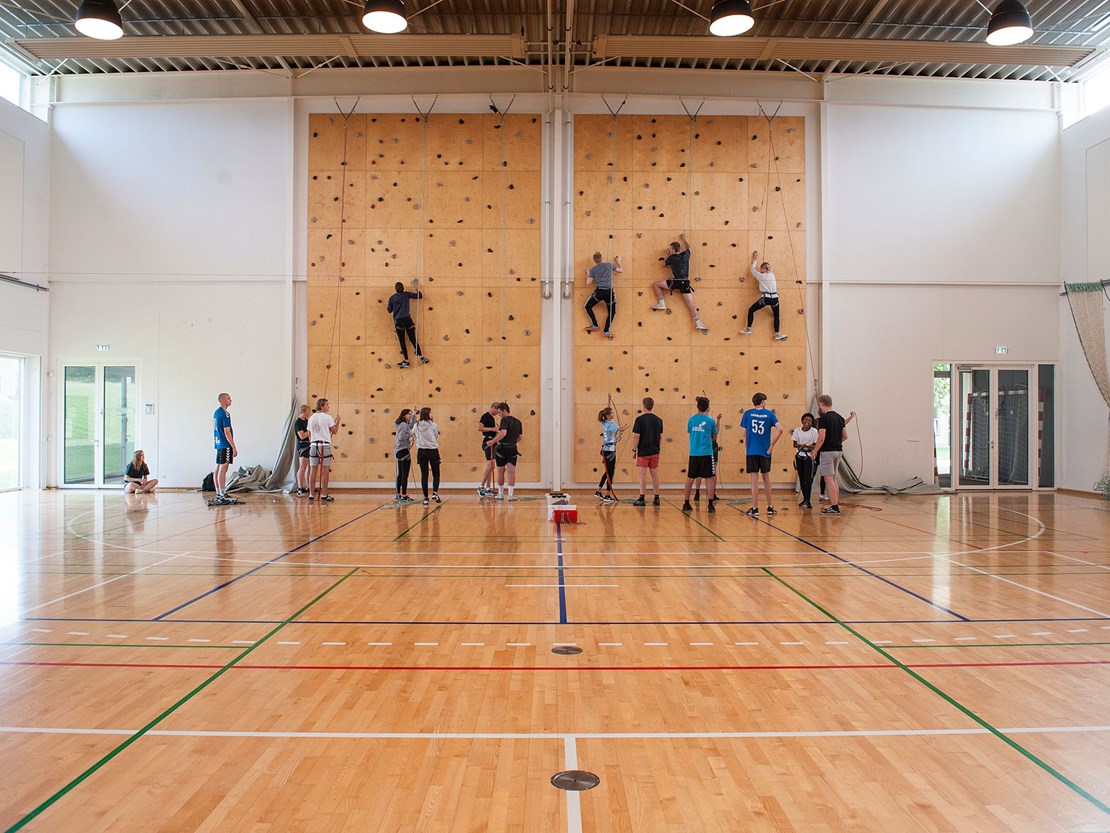 Horsens Statsgymnasium Og Hf 1442