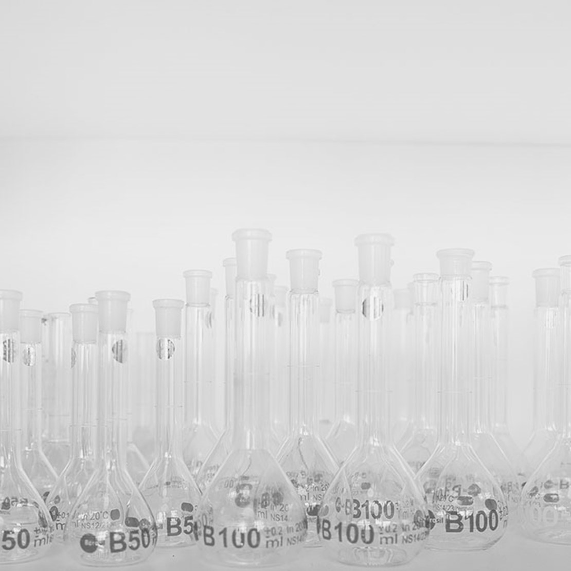 Horsens Statsgymnasium Og Hf 1267