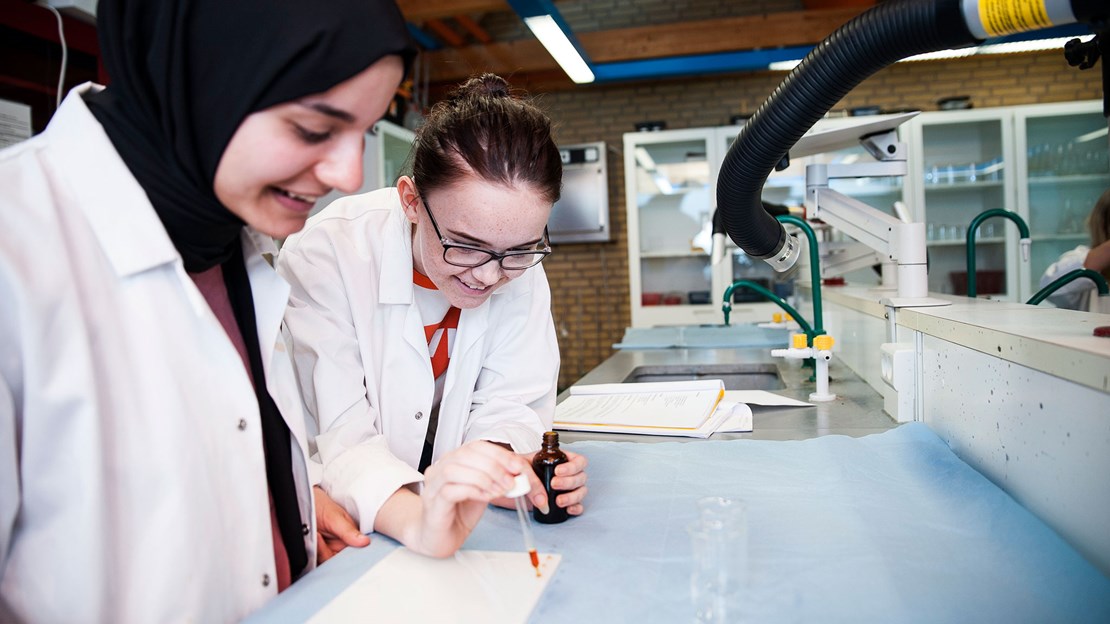 Horsens Statsgymnasium Og Hf 2017